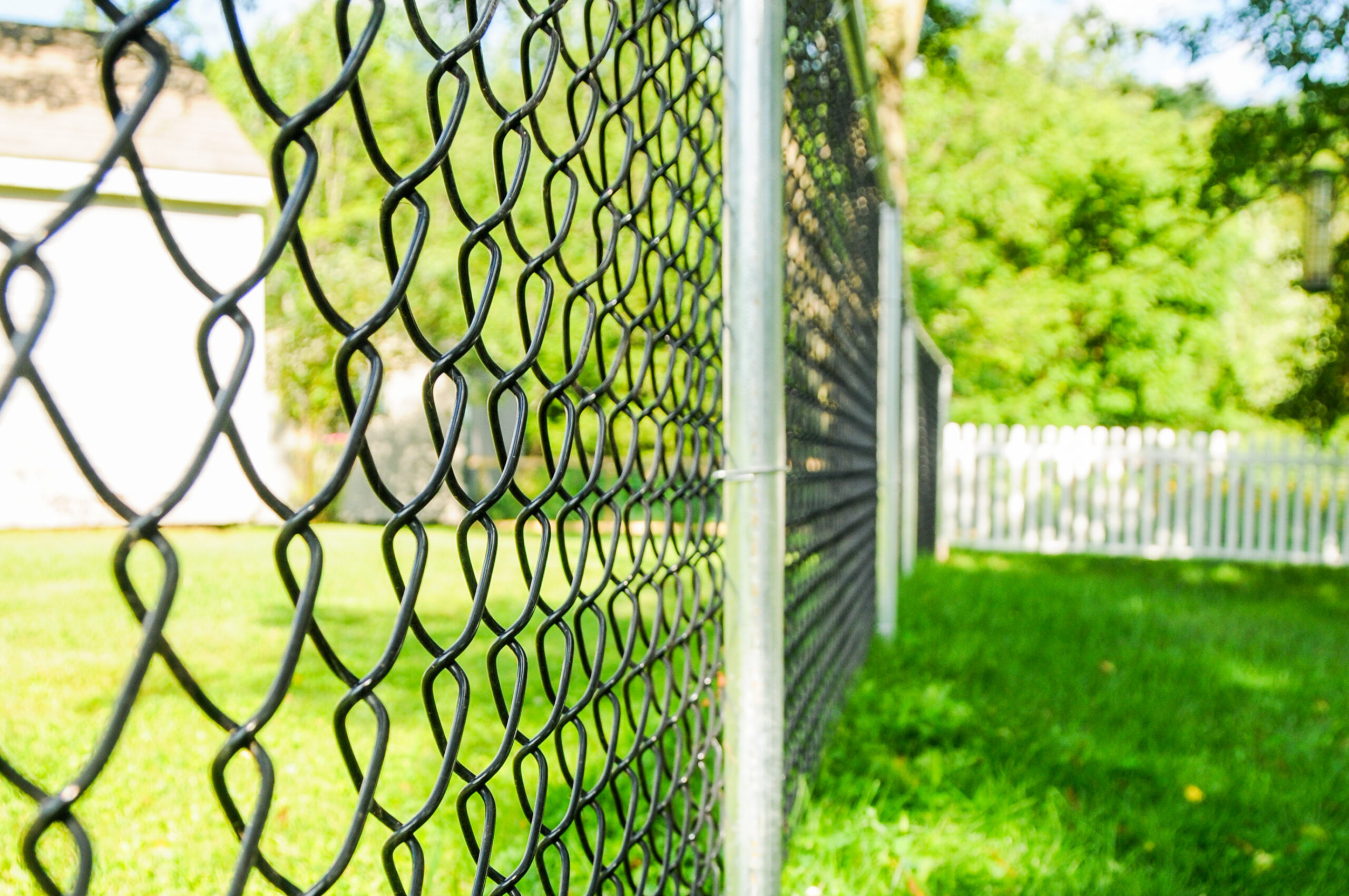 A chain link fence extends across a residential yard, a functional and familiar boundary marker of American neighborhood life.
