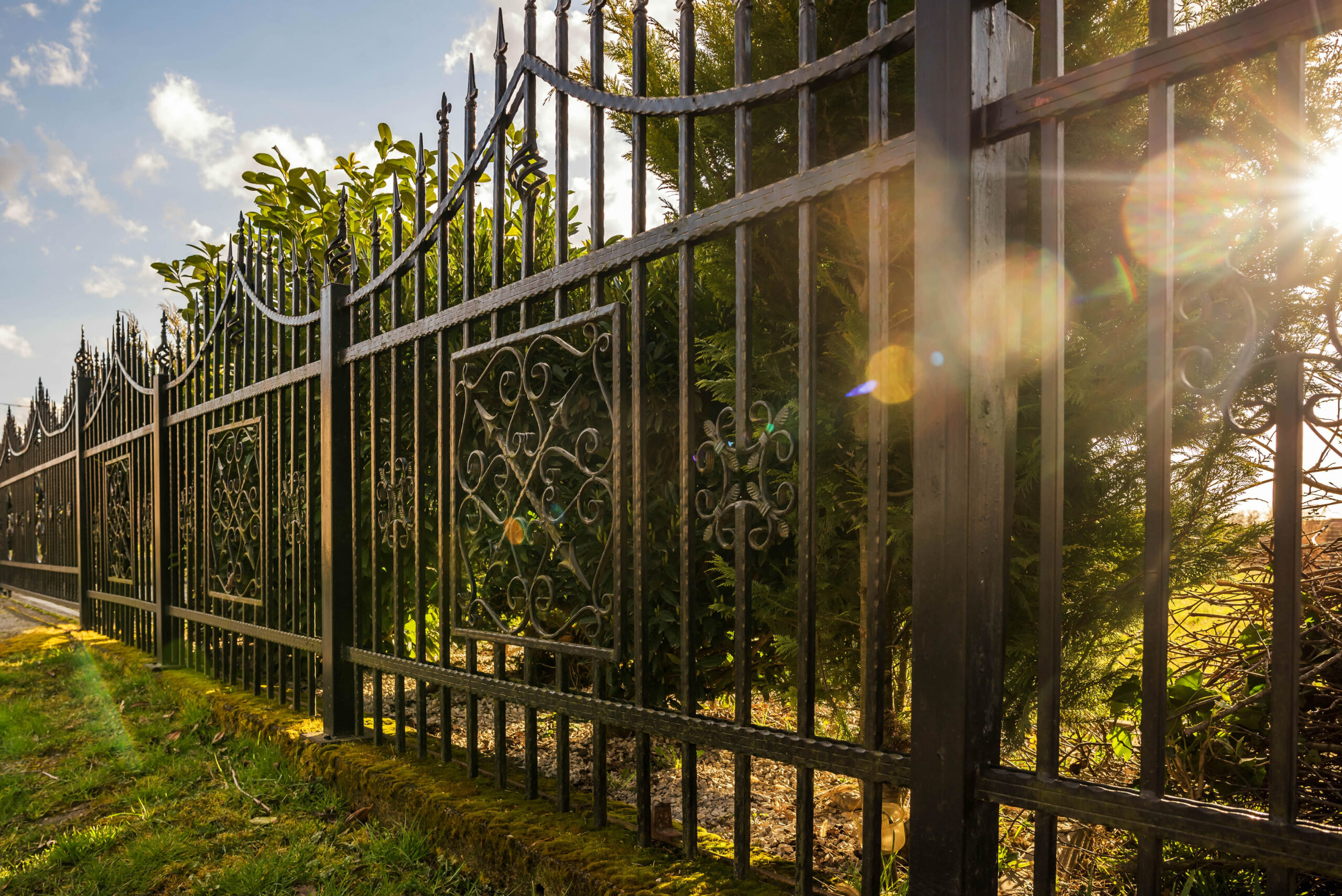 Wrought Iron Fence. Metal fence